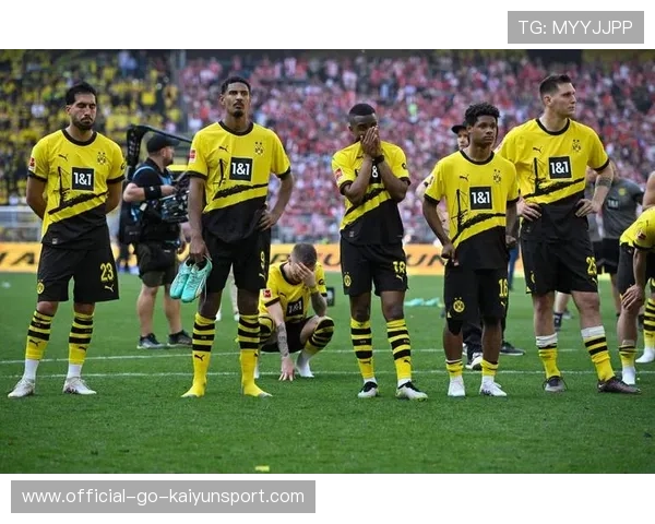 泰尔齐奇教练归来，球队期待全新气象，泰尔琦卫浴是不是名牌