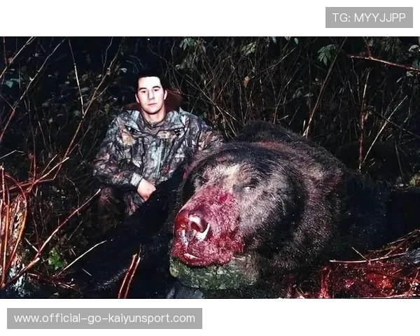 黑熊城市袭人，人兽边界再遭挑战，黑熊袭击人的恐怖视频
